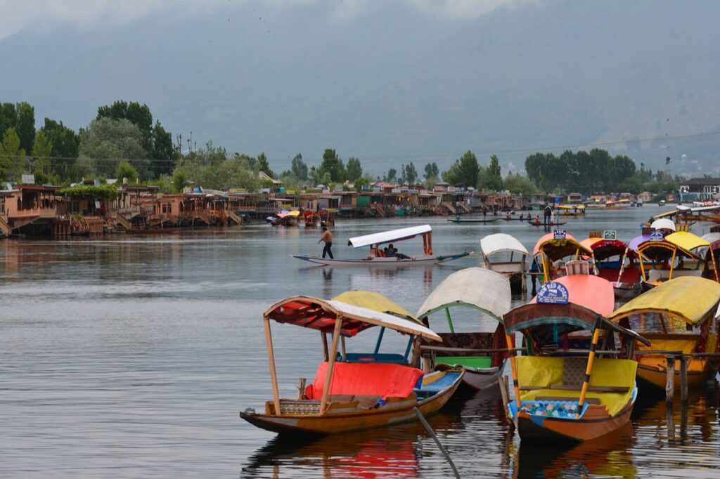 srinagar, india, kashmir